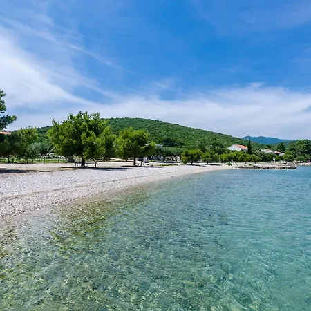 Studio Drace 4529A Drače