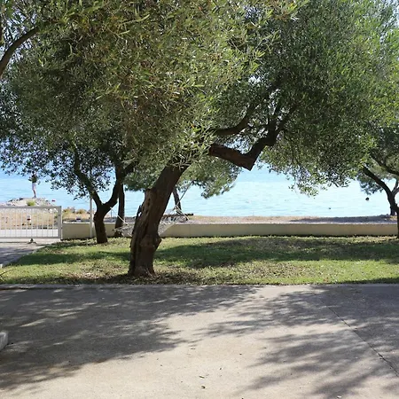 Studio Drace 4529A Apartman Drače